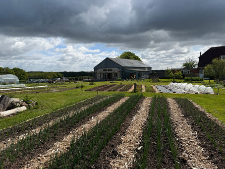 Nutrient Rich Food Grown Here