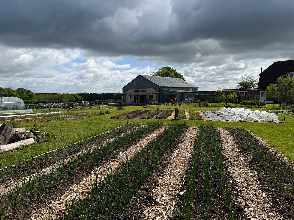Nutrient Rich Food Grown Here