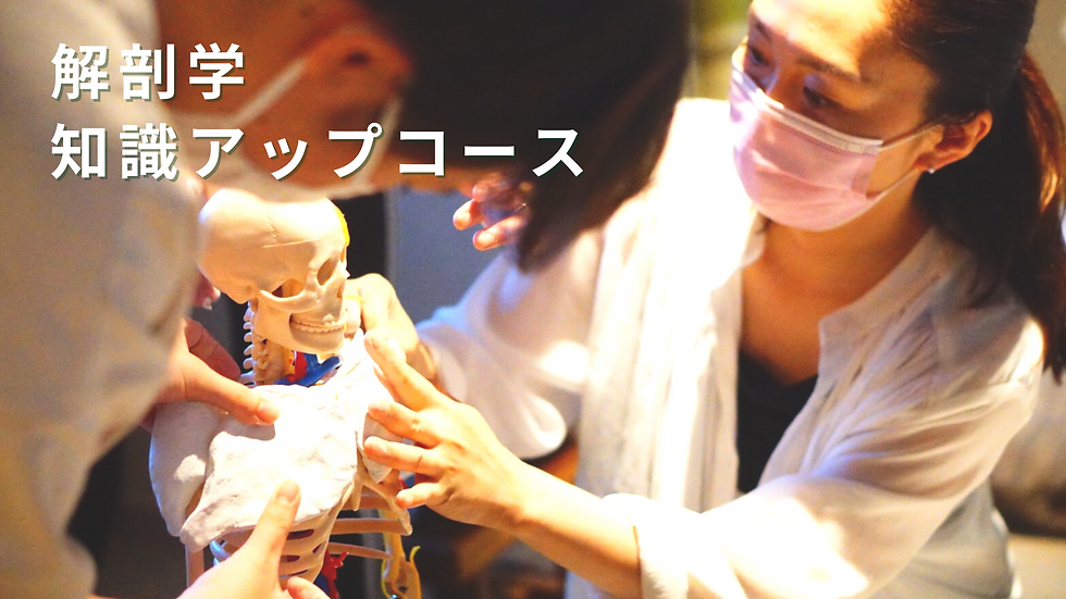 名称未設定のコピーのコピーのコピーのコピー (1)のコピー.png