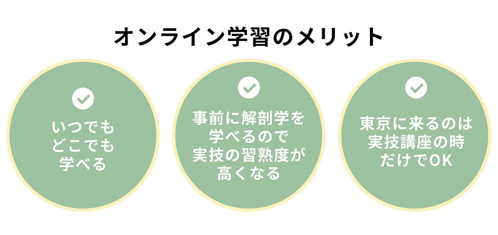 Anatomy Technical Therapist (ATT)とは (1).jpg