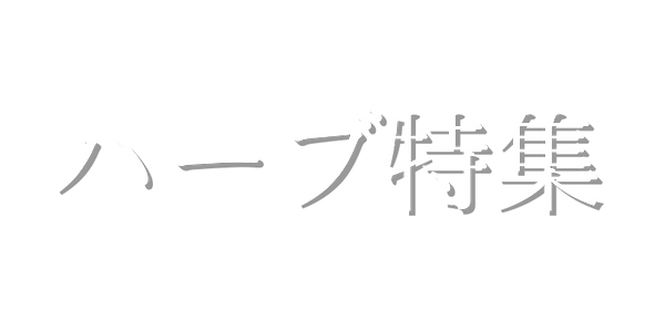 整形級!たった1回の施術で変わる!小顔矯正術 ~解剖学的理論に基づいたオールハンド手技~ (800 x 400 px) (1).png