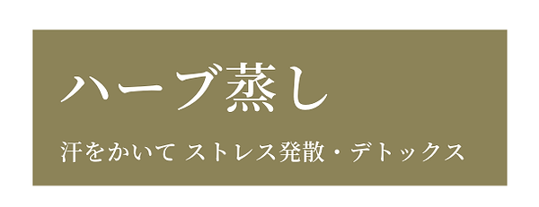 整形級!たった1回の施術で変わる!小顔矯正術 ~解剖学的理論に基づいたオールハンド手技~ (1).png