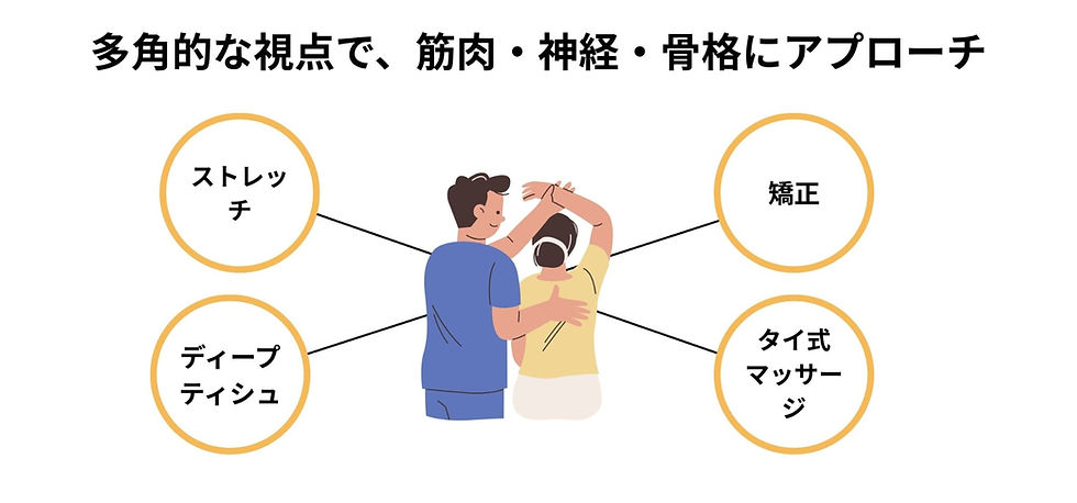 Anatomy Technical Therapist (ATT)とは.jpg