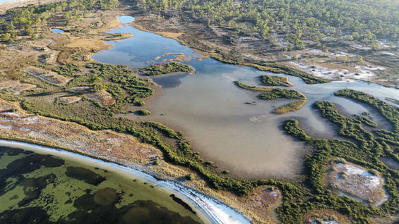 Drone shot of Dog Island on the Great Loop
