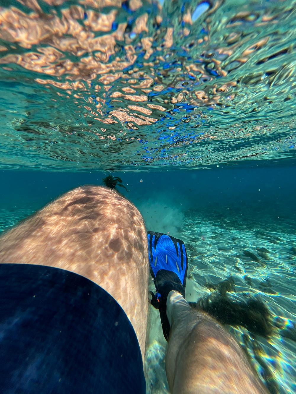Man swimming in Florida with flippers
