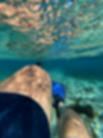 Man swimming in Florida with flippers