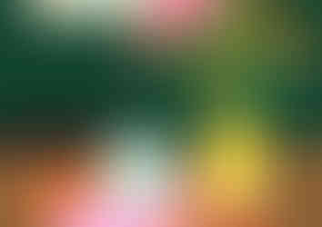 Ottolenghi Shelf Love