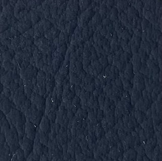 SALAMANDER DARK BLUE