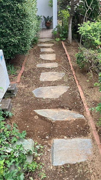 草むしり後に通路が見やすくなった庭