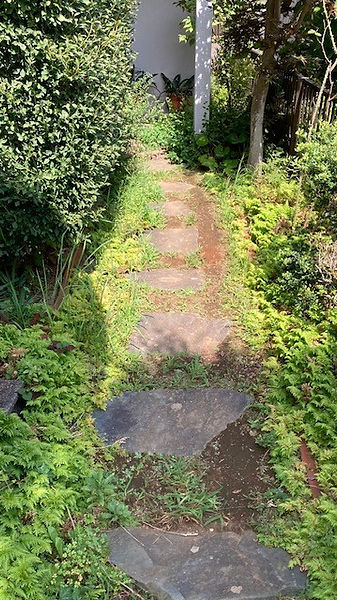 雑草が繁茂した住宅脇の草むしり作業前