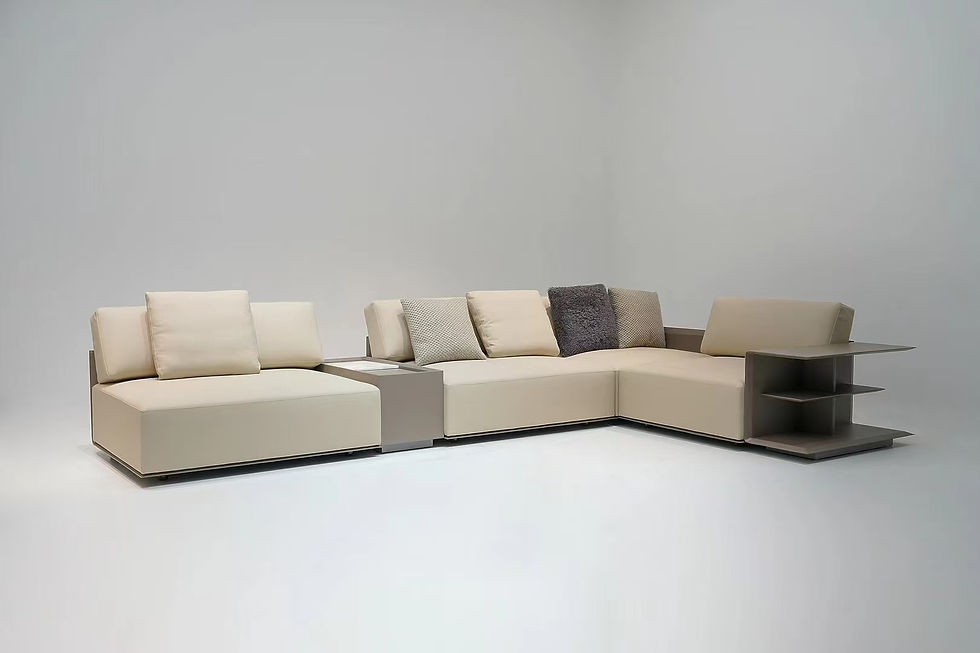 Functional sectional sofa by alexisfurniture