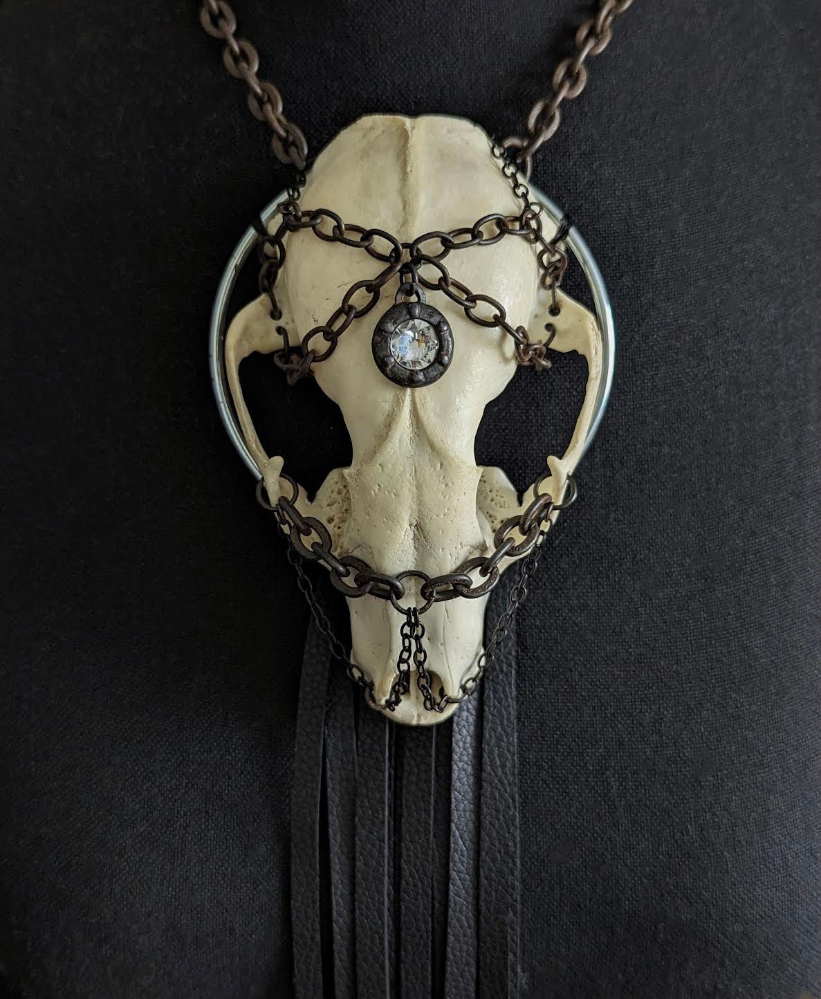 Raccoon Skull-Third Eye Crystal