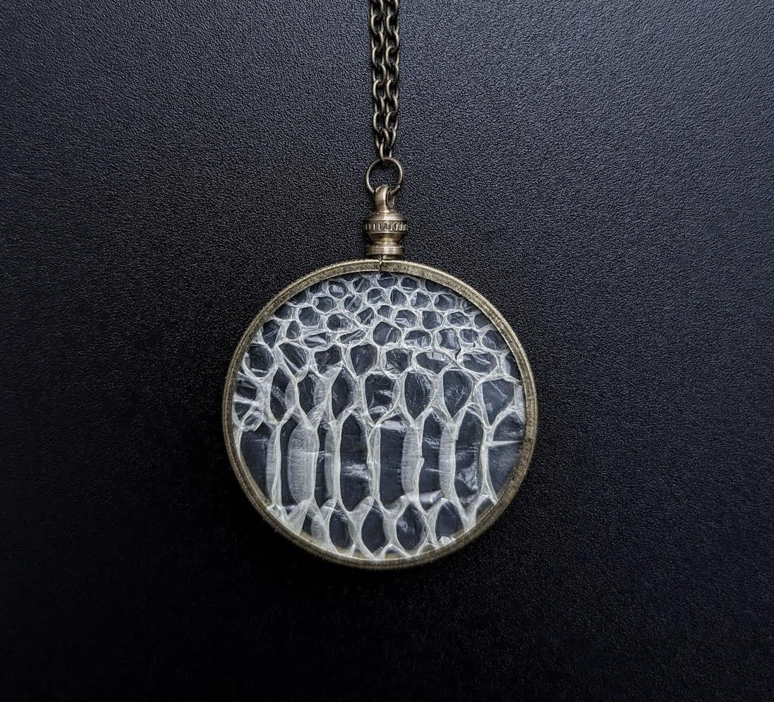 Snake Skin Locket Clear