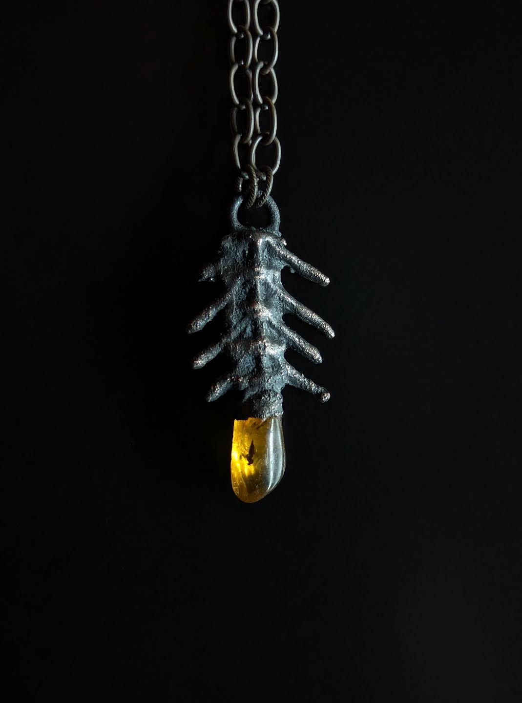 Saule: Baltic Amber Fish Vertebrae