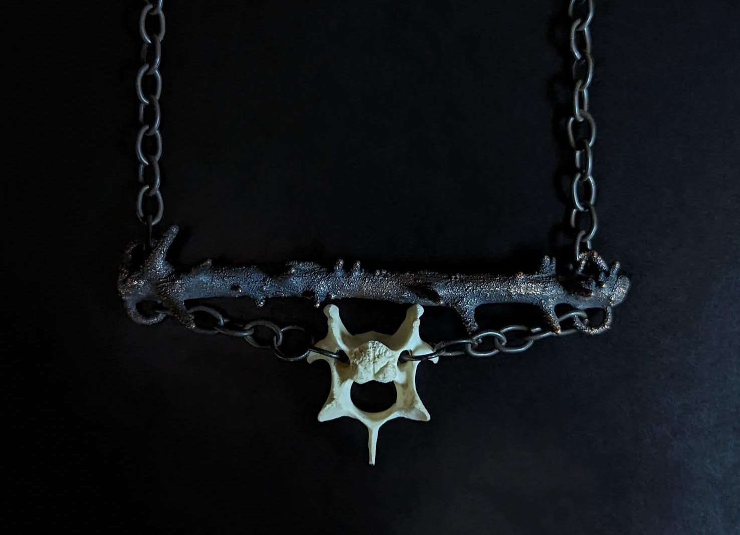 Sticks and Bones: Fox Vertebra