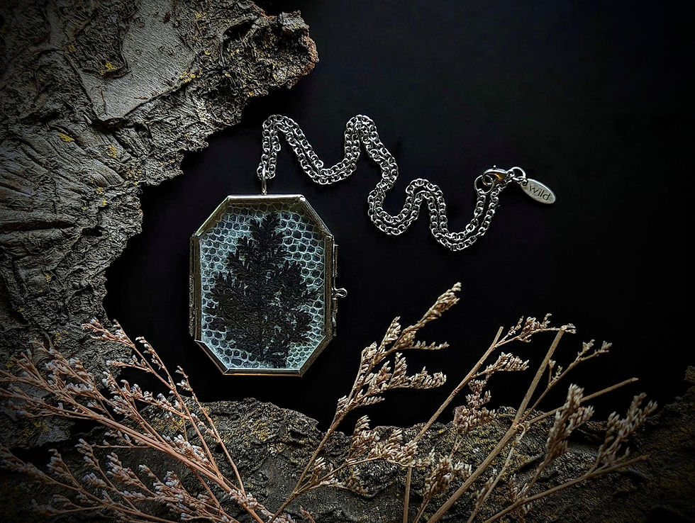 Thumbnail: Litha/Midsummer/Summer Solstice Dark Fern Snake Skin Locket