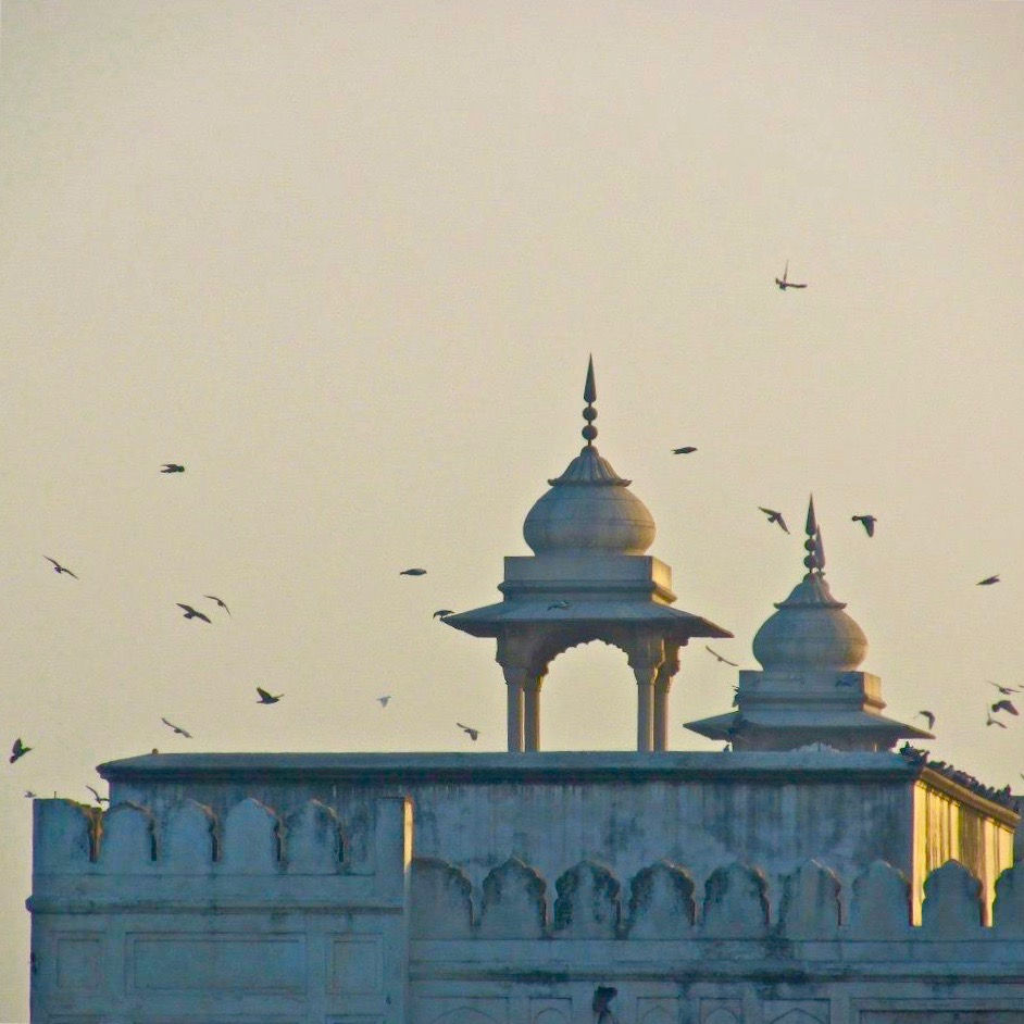 India, 2013