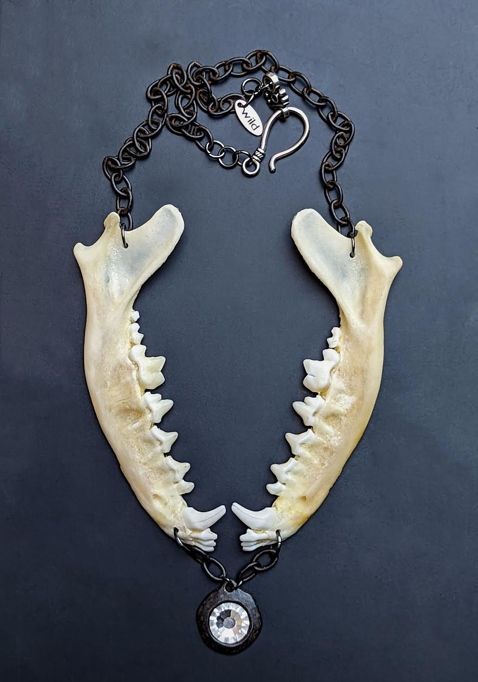Thumbnail: Crystal Fox Jaws