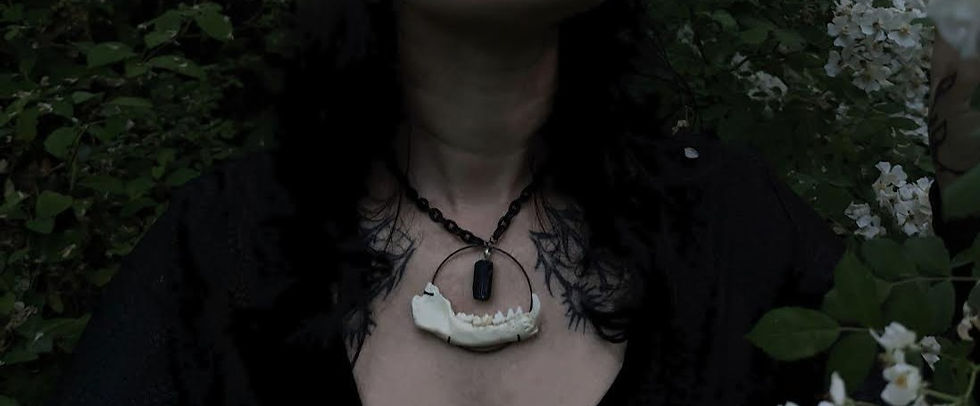 Thumbnail: Raccoon Jaw Tourmaline