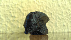 IMAG1702