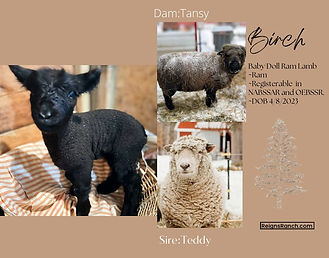 received_6599344966743617 (1).jpeg