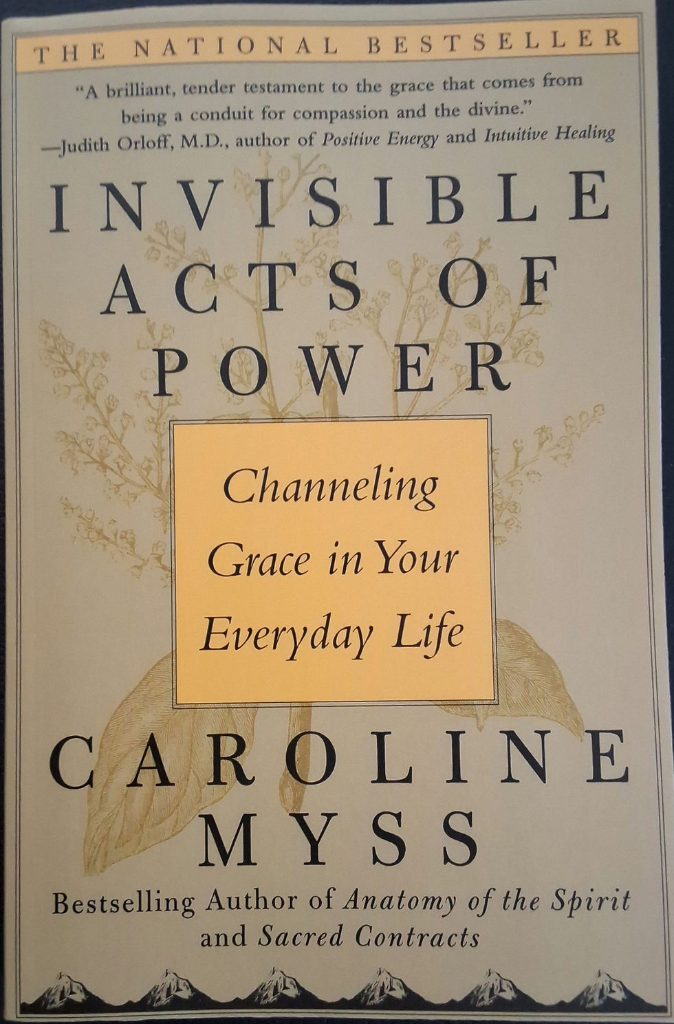 Invisible Acts of Power - Channeling Grace in Your Everyday Life