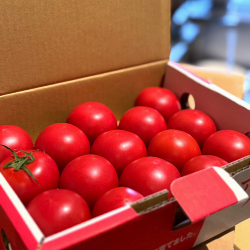 Amela tomato アメーラトマト 値段 Amela Tomato Box アメーラトマト 箱