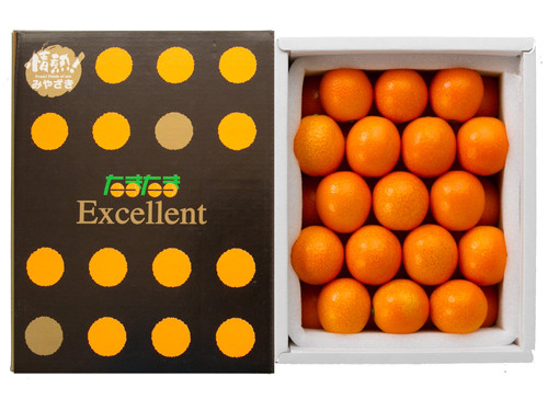 11 March Delivery - Kinkan (Kumquat) Tamatama Excellent | TORETATE