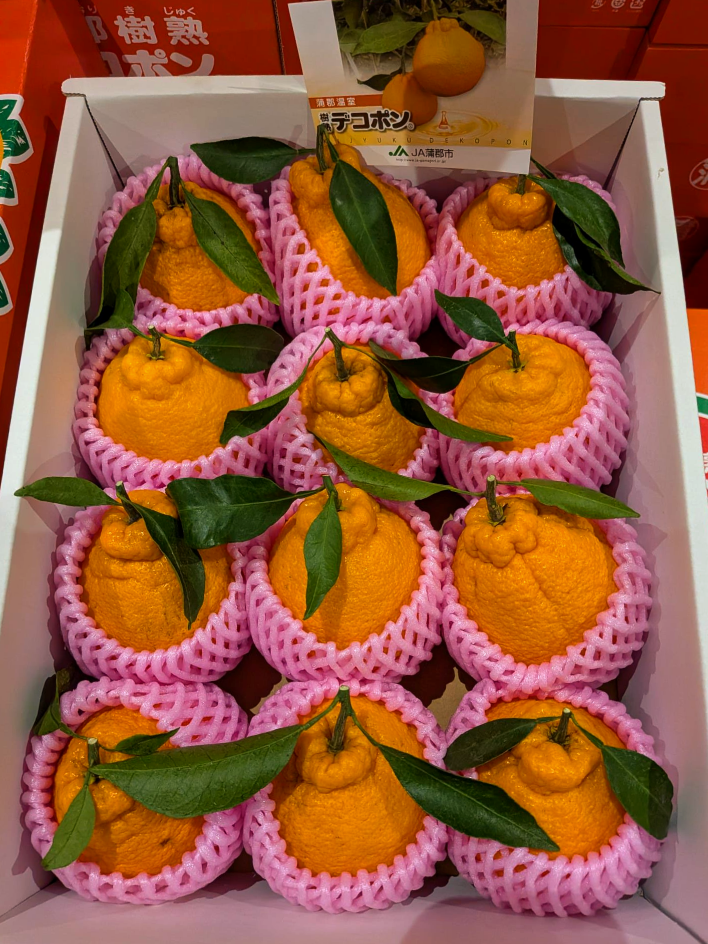 Dekopon 3kg (BOX)