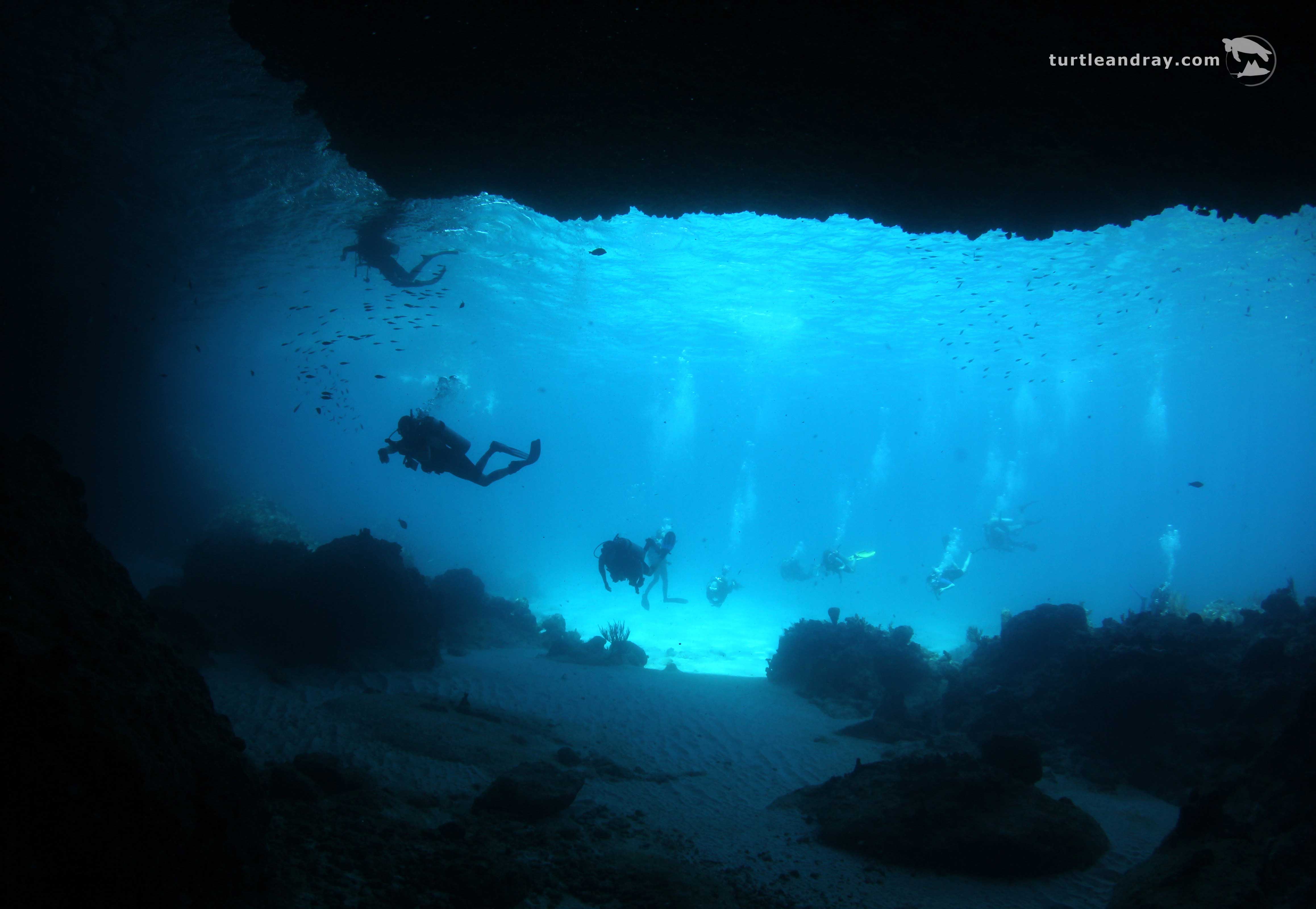 The Blue Room A Diver S Rhapsody