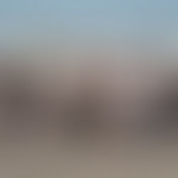 Murph & Grill - 27.05.23