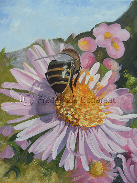abeille-sur-aster