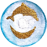1681298536036.png