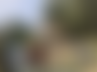 住宅裏の竹林で、大林間伐材再生研究会のメンバーと山海環講師が協力して竹を