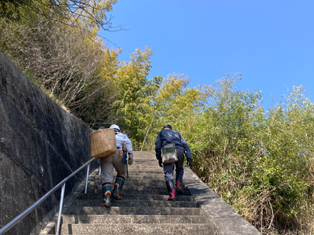 住宅地から程近い竹林への階段