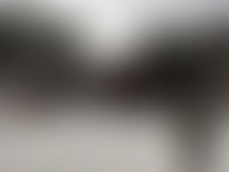 社員一同で初詣に行ってきました♪