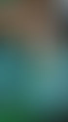 10 jardins potagers qui font rêver