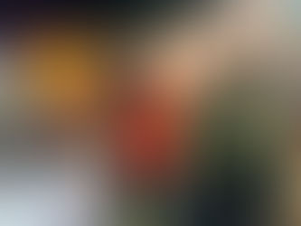 Drogheda Coast Guard Unit tasked to the aid of a person in the water near De Lacy Bridge