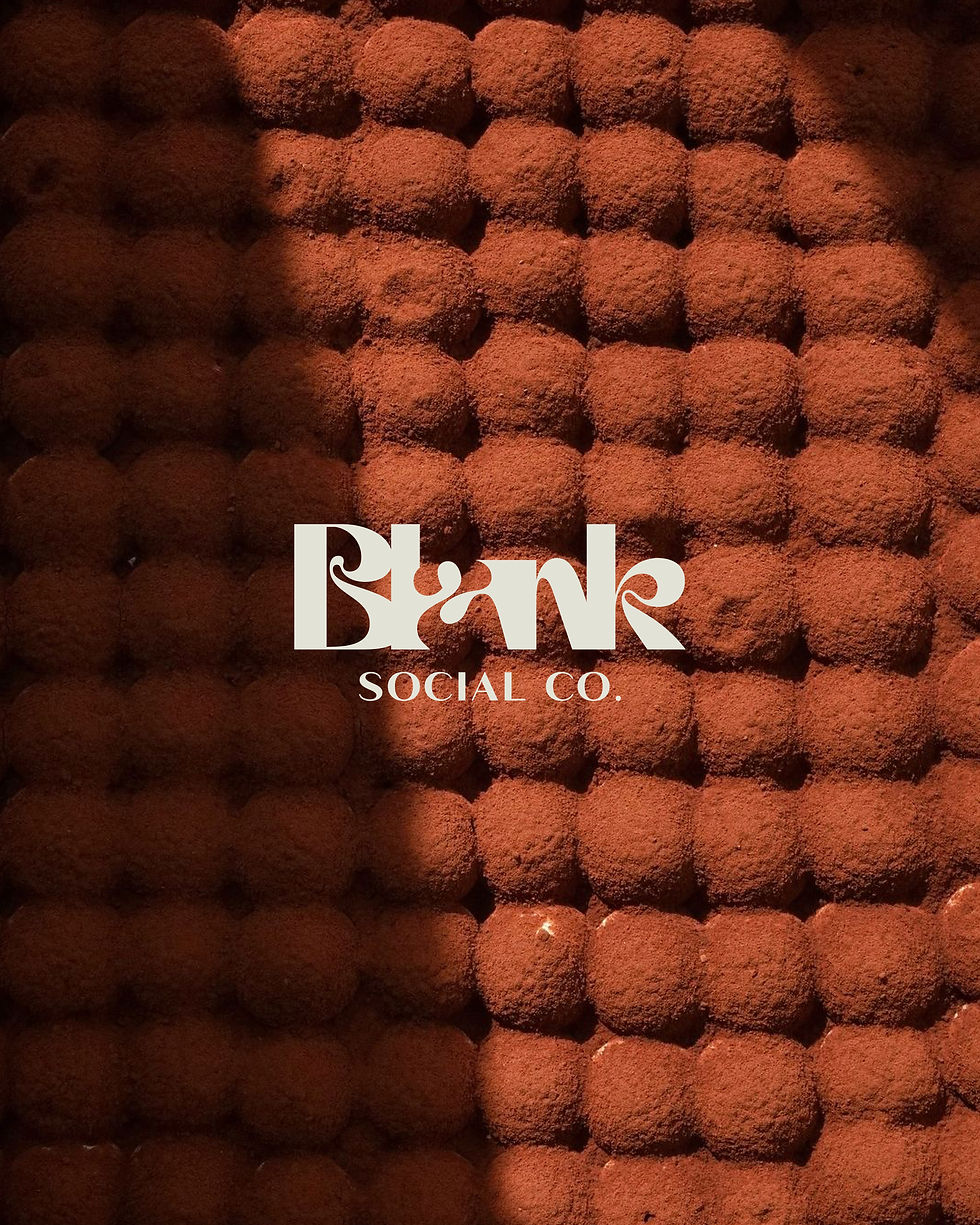 blank-social-co-logo.jpg