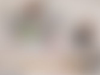 NOVEMBRE, l'année n'est pas finie