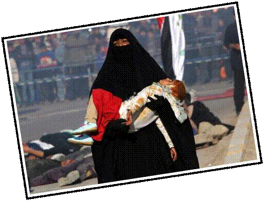 image007.gif