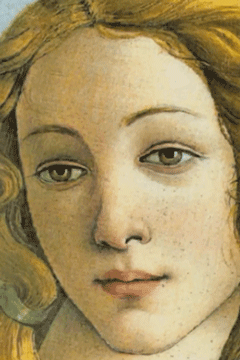 Feel-Desain_Iconic-Painting-05-LOW.gif