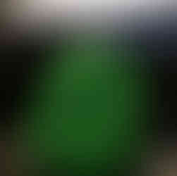 Psychologin-Bern-Bolligen-Psychologische-Beratung-Angebot