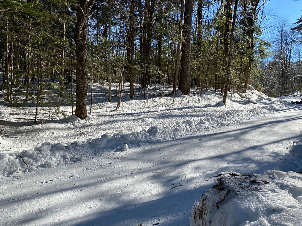 Wakpominee Winter Campout