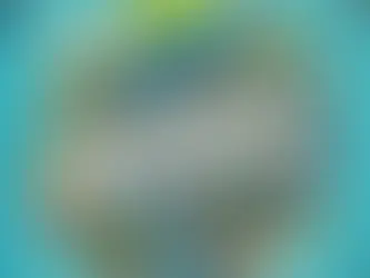 flight Krew Flight style