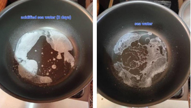 Evaporations of sea water (3 days after acidification)