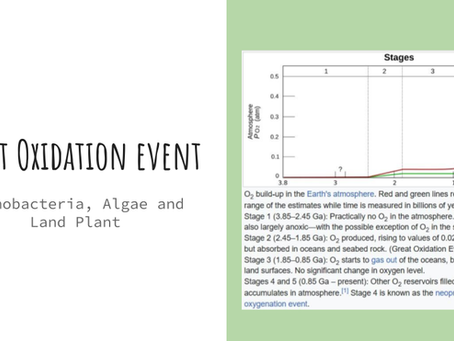 Great Oxidation Event by Poaceae