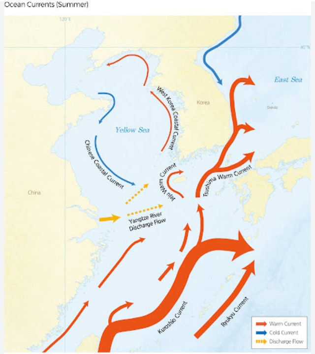 Ocean Current around Nagasaki