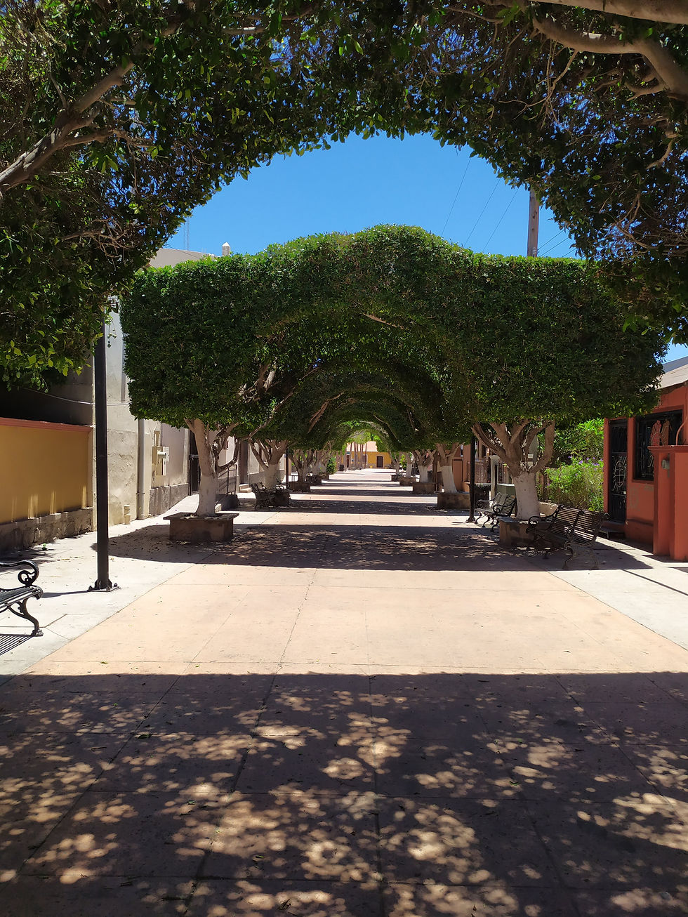 Loreto Mexico Travel Guide