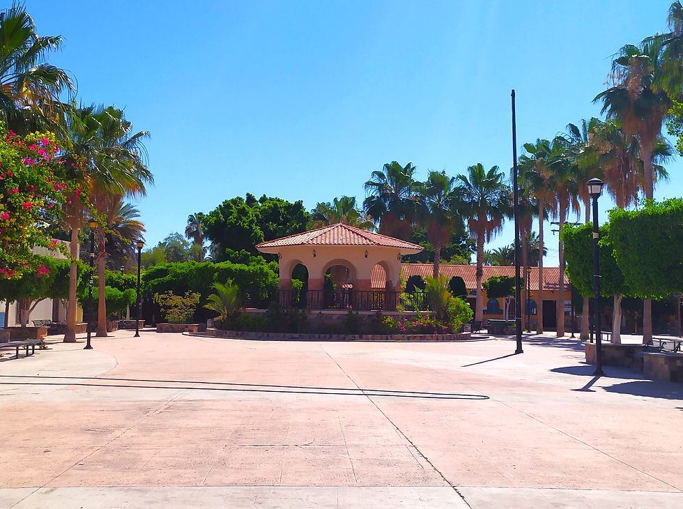 Best Time to Visit Loreto, Mexico
